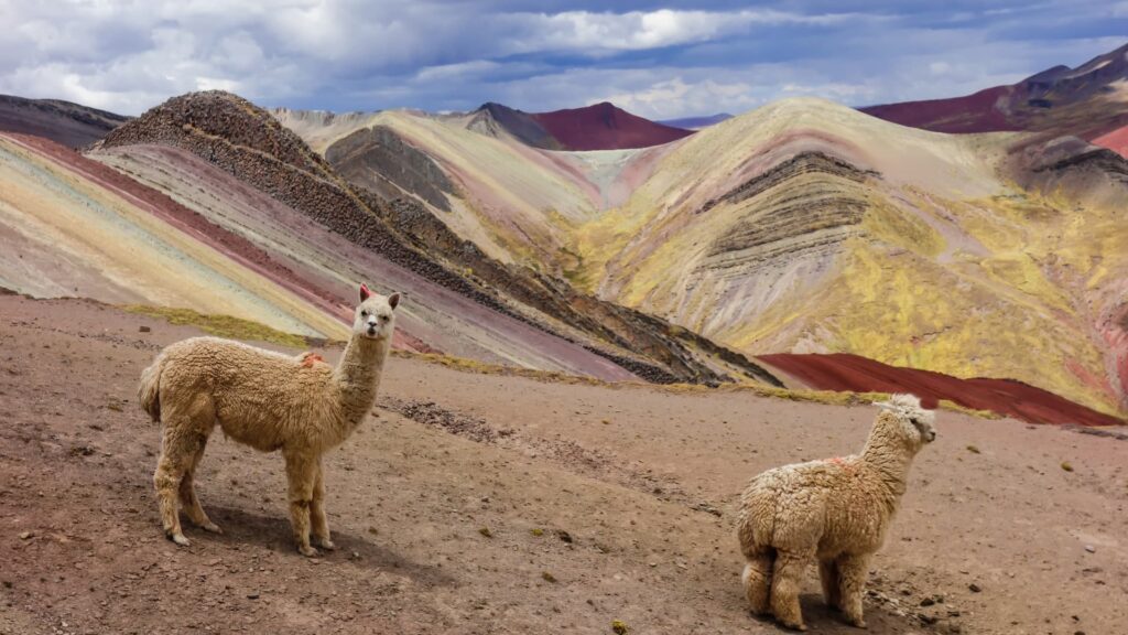 Palccoyo Tour – 1 Day