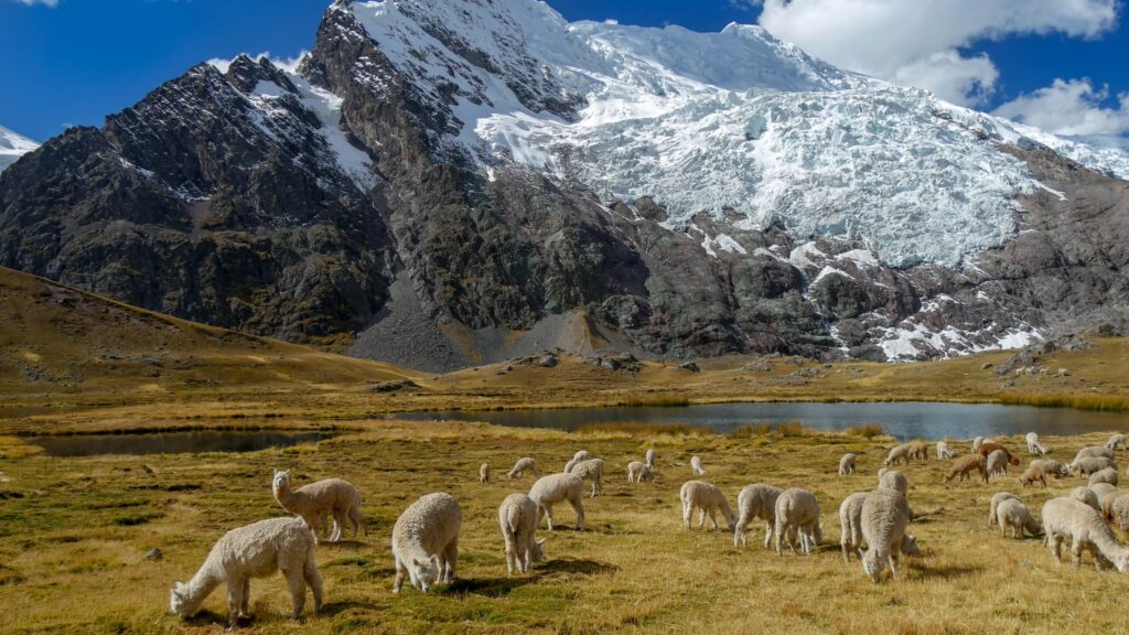 Singrenacocha Lake Tour